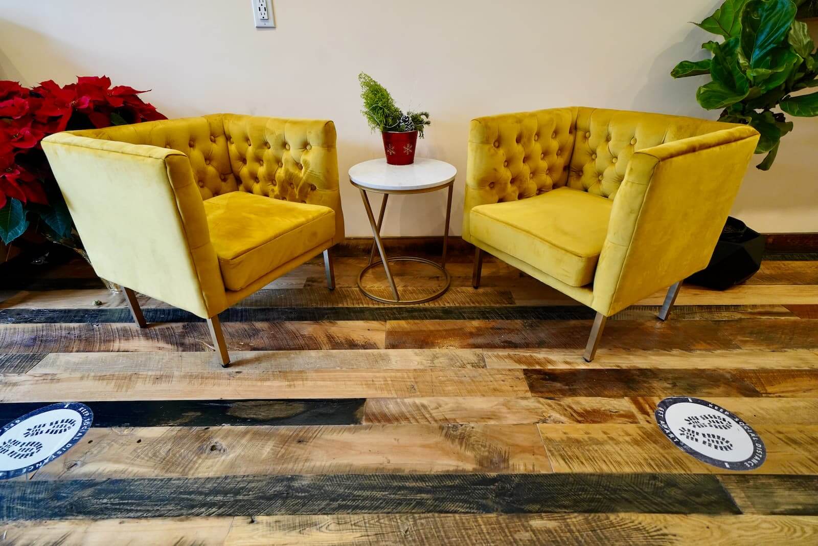 A professional photo of a seating area in a bright room. Two identical, tufted velvet armchairs in a bright mustard yellow color face each other across a small, circular white side table with a gold base. The floor is made of reclaimed wood planks in varying shades of brown. A potted plant with red poinsettia flowers is on the left, and a large green plant is on the right. Two circular floor decals reading "PLEASE WAIT HERE" are visible in the foreground.
